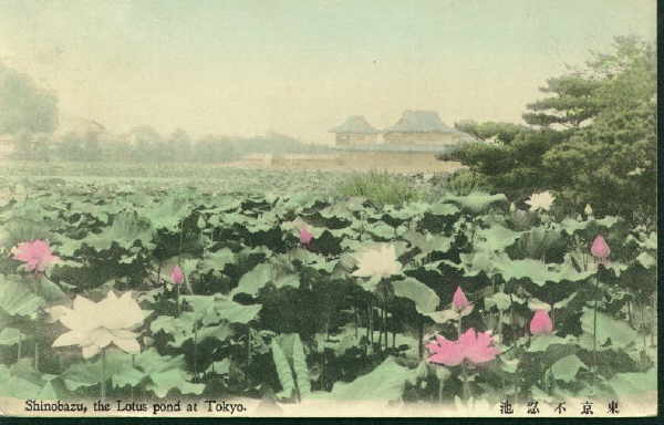 tokyo001.jpg 28.0K