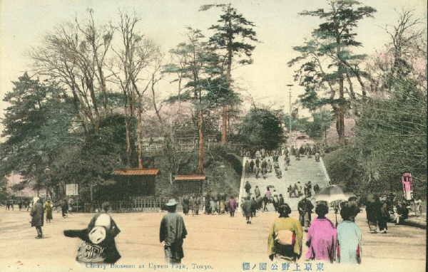 tokyo018.jpg 36.0K