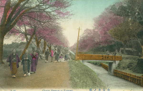 tokyo093.jpg 26.9K