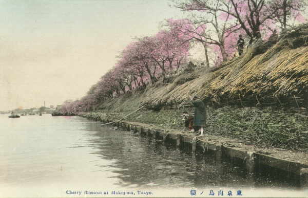 tokyo213.jpg 29.9K