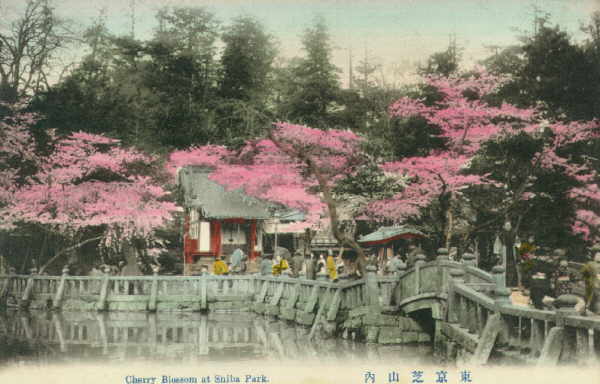 tokyo222.jpg 32.9K