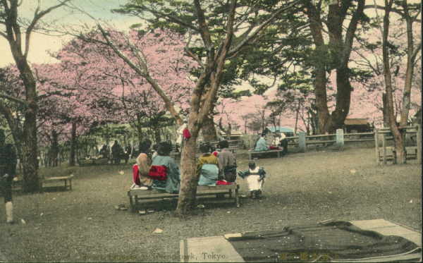 tokyo240.jpg 36.7K