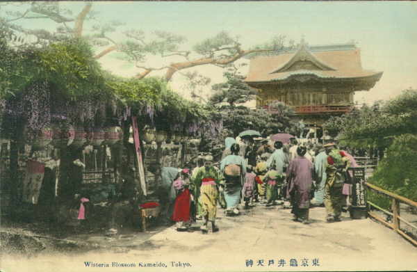 tokyo252.jpg 30.2K