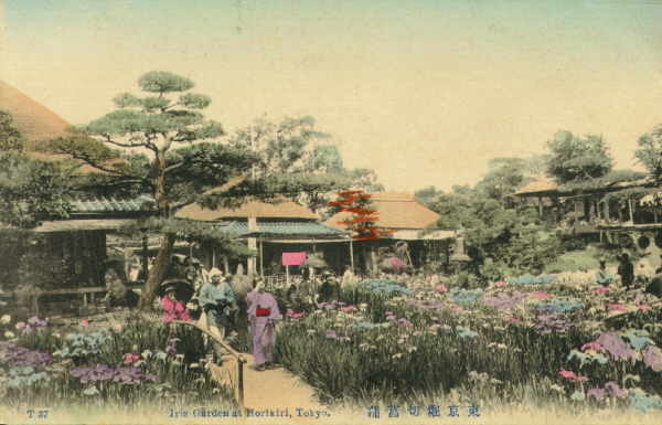 tokyo267.jpg 30.7K