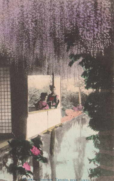 tokyo278.jpg 30.3K